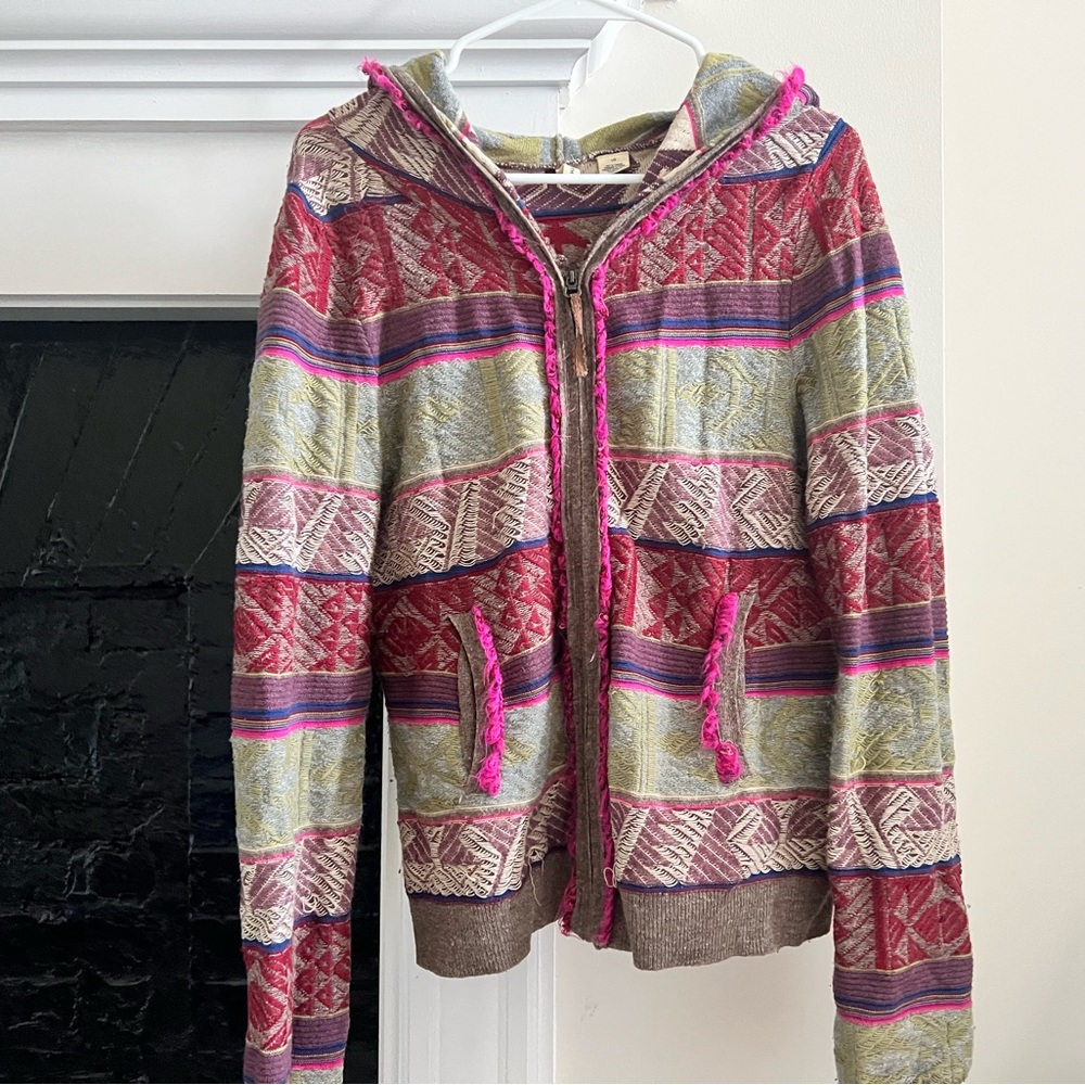 Multicolored moth hoodie from Anthropologie